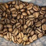 Brazilian Arabica Coffee Beans for Wholesale – High- Quality and Affordable